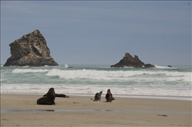 Sandfly Bay